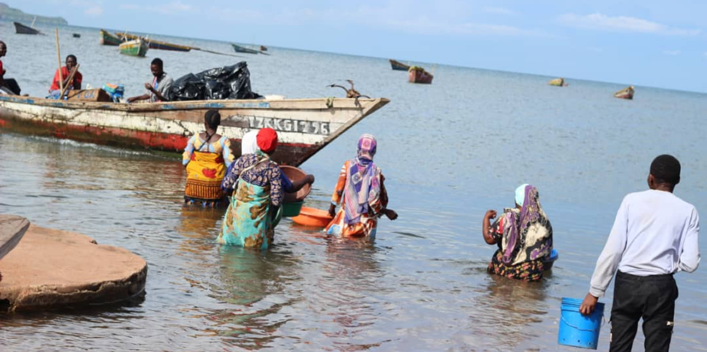 Women wade through water to fish boats to purchase fish for resale - Lake Victoria, Mwanza Women wade through water to fish boats to purchase fish for resale - Lake Victoria, Mwanza