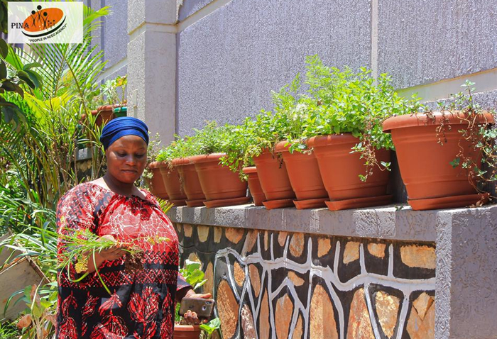 The variety of pot grown spices at the demonstration farm