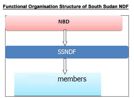 Functional Organisation Structure of South Sudan NDF
