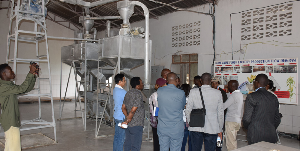During the site visit, the delegation gained insights into the maize milling process, including cleaning, processing, and packaging, with the facility’s operations clearly visible in the background.