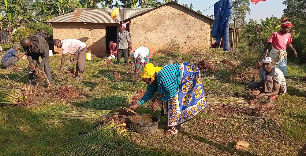 Local community members sorting Grass in preparation for planting during an Eco-system conservation activity at Shiatsala center, in Kakamega county (Photo credit: Zablon Indakwa)